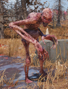 FO76 Scorched wendigo