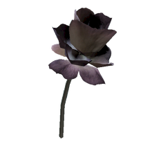 Mutated fern flower.png