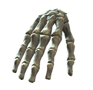 Right hand bones