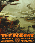 The Forest DOI poster