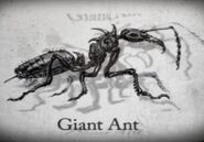 Fallout 3 giant ant concept art