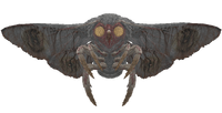 Vengeful mothman