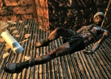 Wild Bill.jpg (419 KB) Wild Bill