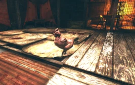 FO76SD Bloody Pecker arena