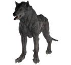 FO76 Feral Wolf.png