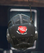 FO76 Polly's old head back.jpg