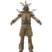 FO76 apparel outfit cultistelder.webp