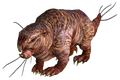 Mole rat FO3