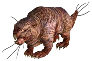 Mole rat FO3.png (761 KB) Naked mole rat in Fallout 3 and Fallout: New Vegas