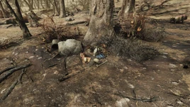 FO76BS World Radhog Nest01 PTS