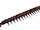 VB Centipede red.png