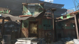 FO4 Diamond Citiy's newspaper