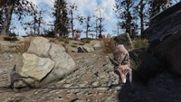 FO76 Tiny foxy 3.png (3.11 MB) Sniffing fox
