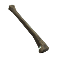 Tibia.png