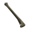 Tibia