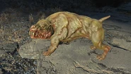 FO4 Mutant hound1.jpg (883 KB)