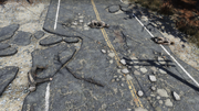 FO76 Dead Cultists.png