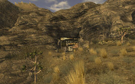 Bradleys Shack