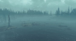 Emmet'sCauseway-FarHarbor.jpg