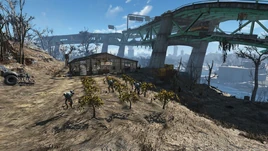 FO4 Graygarden