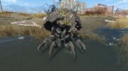 FO4 Mirelurk killclaw.jpg