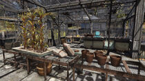 FO76SD Lewis And Sons Farming Supply (16).jpg (2,44 МБ) Кукуруза