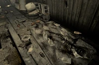 Close up of the skeleton