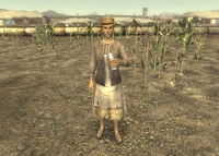 NCR sharecropper farms