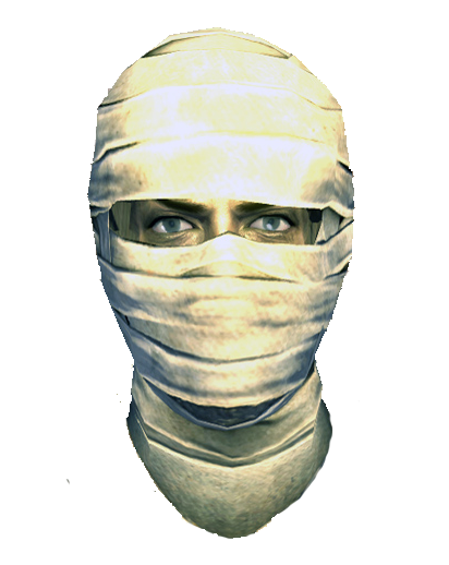 fallout new vegas balaclava