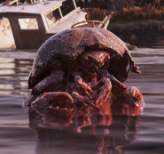 Cranberry mirelurk