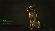 FO4 Loading Screen Dogmeat