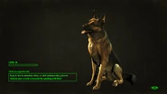 FO4 Loading Screen Dogmeat.png (1.35 MB) Dogmeat sitting on the loading screen