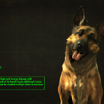 Dogmeat Fallout 4 Fallout Wiki Fandom