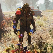 Разросшийся-старейшина