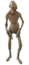 Fo4-whitered-feral-ghoul.png