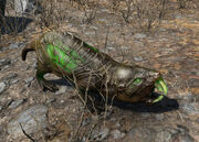 Fo4 glowing mole rat.jpg