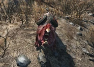 Suicide mole rat.jpg (955 KB)