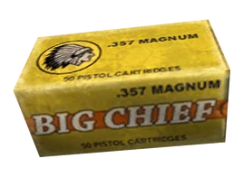 357 magnum round