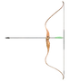FO76 Bow