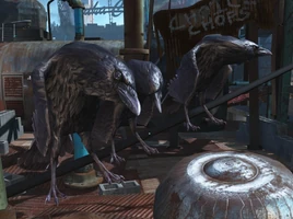 Fallout 4 Crows