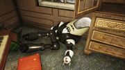 Whitespring Docent.png