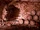 76 ETP Sanctum barrels.png