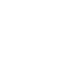 13-star roundel white symbol