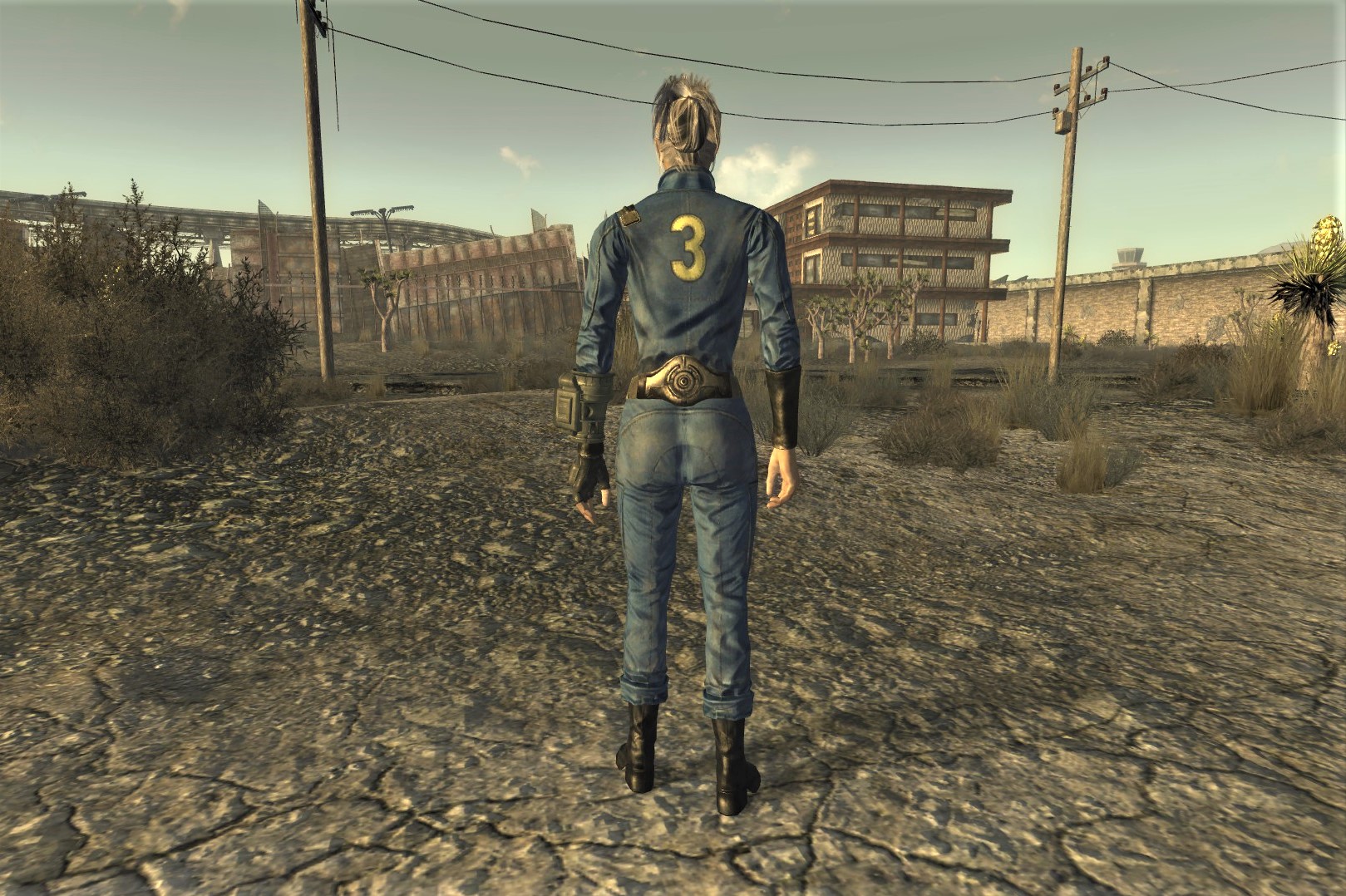 fallout nv type 6