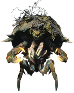 Остролапый болотник