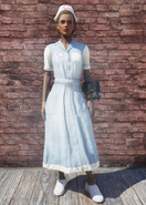 Fallout 76 Asylum Worker Uniform Blue
