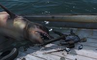 Jaws reference