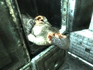 Wan Yang 'in the flesh' (in a test cell, not seen during normal gameplay)