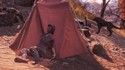 FO76 RE camp hostilewolves