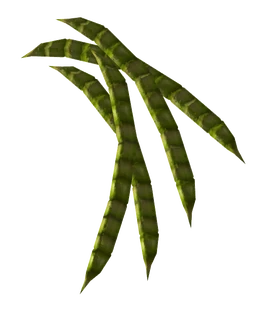 HoneyMesquitePod-nobg